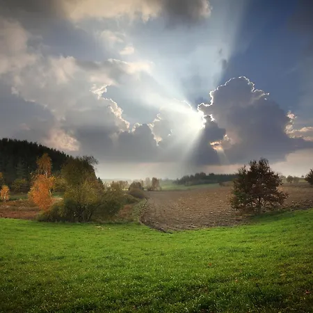 Palac I Folwark Nemino 5* Sierakowice (Pomerania)