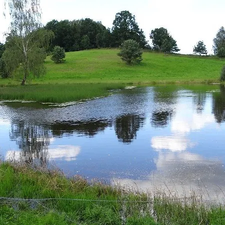 Palac I Folwark Nemino