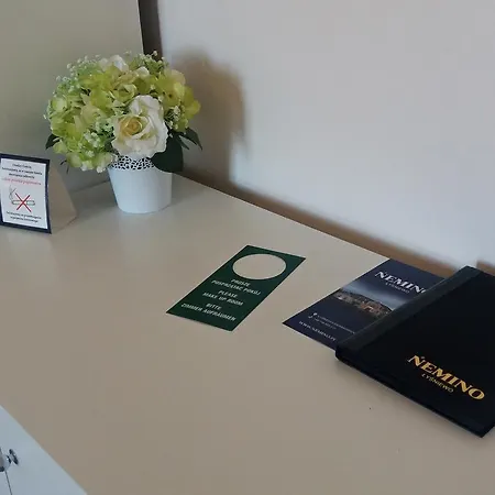 Palac I Folwark Nemino 3* Sierakowice (Pomerania)