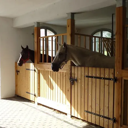 Palac I Folwark Nemino Feriested 5*