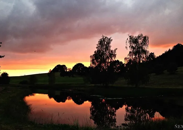 Palac I Folwark Nemino 5*