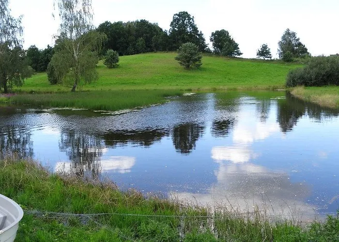 Palac I Folwark Nemino