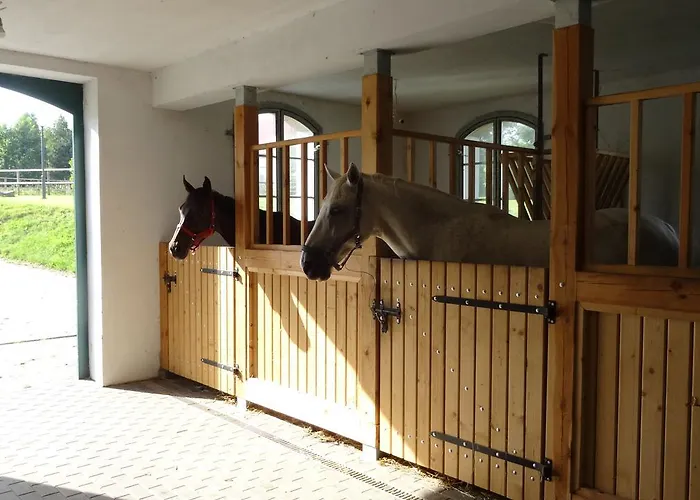 Palac I Folwark Nemino Semesteranläggning (resort) 5*